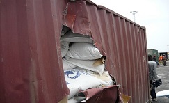 Container cargo inspection